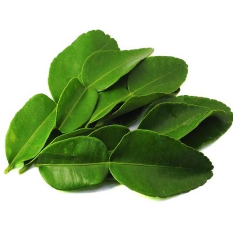 https://static-eu.insales.ru/images/products/1/2005/30549973/lime_leaves.jpg