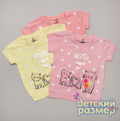 Футболка (аппликация)