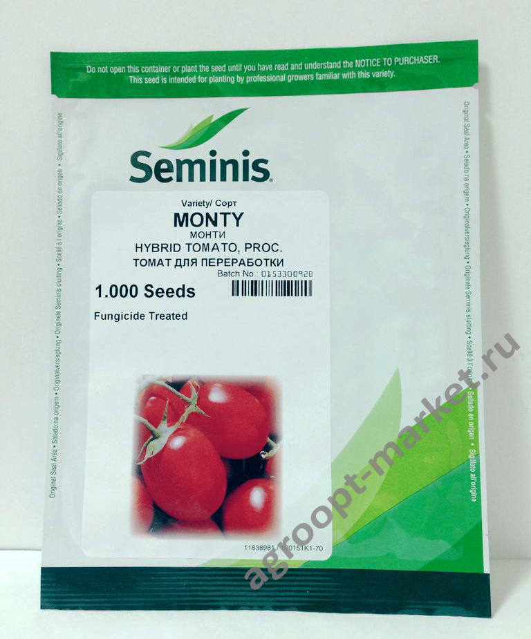 семена из голландии купить интернет магазин