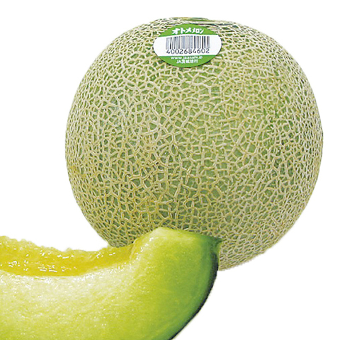 https://static-eu.insales.ru/images/products/1/2536/229394920/melon.jpg