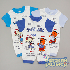 Песочник
