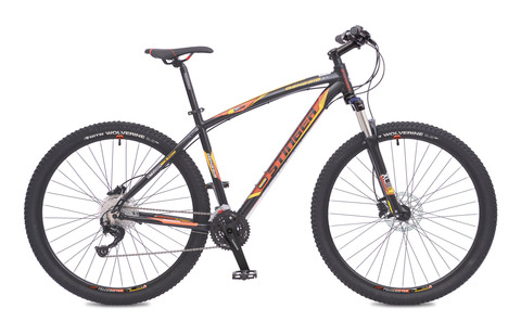 STINGER GENESIS 3.7 29