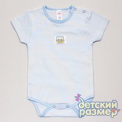 Боди