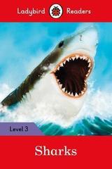 Sharks - Ladybird Readers Level 3