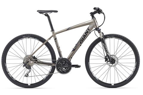 Giant Roam 0 Disc (2016) серый