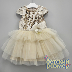 Платье (двойные пайетки, брошь)