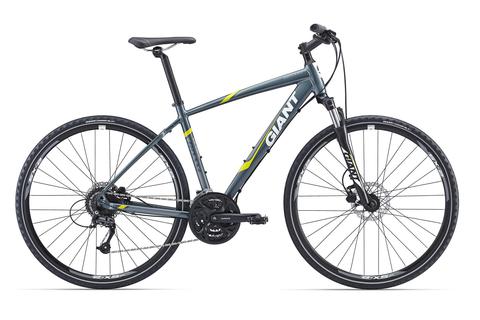 Giant Roam 2 Disc (2016) серый