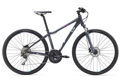 Giant Rove 1 Disc (2016) серый