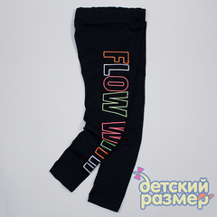 Бриджи