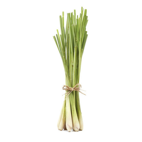 https://static-eu.insales.ru/images/products/1/4282/29716666/LemonGrass.jpg