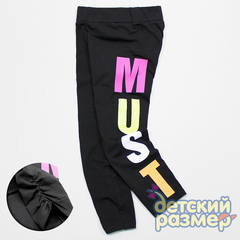 Бриджи