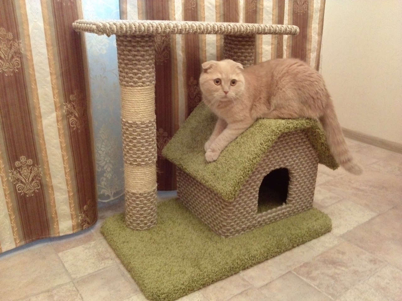 домик для кошки новокузнецк