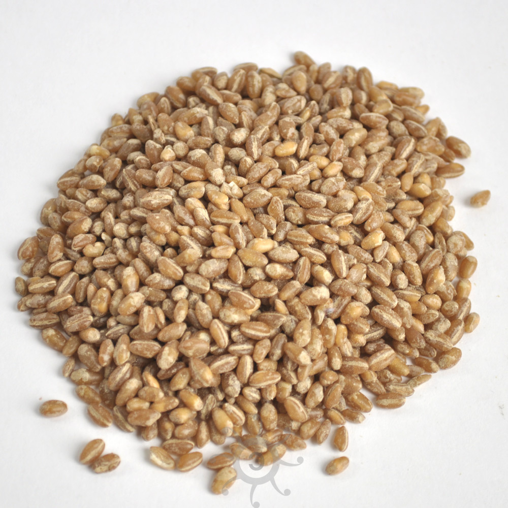 Коркот (куркут, коркут) из Армении купить с доставкой в интернет ...