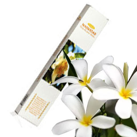 https://static-eu.insales.ru/images/products/1/4526/127324590/magnolia_sticks.jpg
