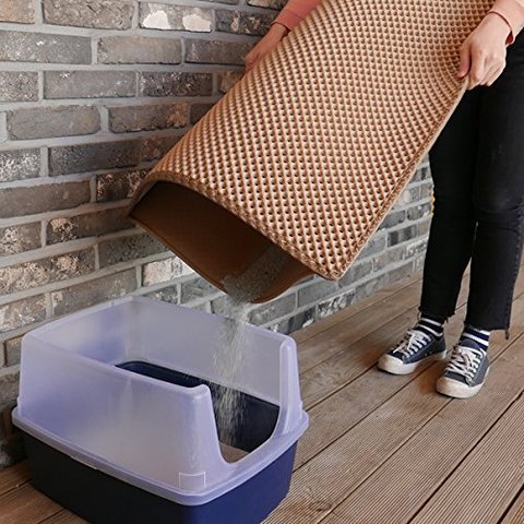 Кошки в нашей жизни. Кошки и все, что с ними связано. Кошки в нашей жизни. Кошки и все, что с ними связано.