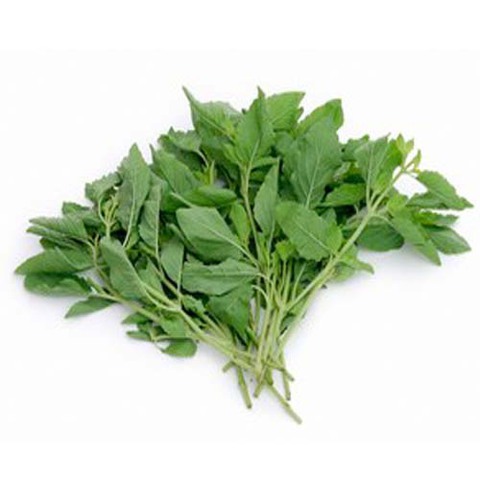 https://static-eu.insales.ru/images/products/1/4616/55439880/holy_basil.jpg