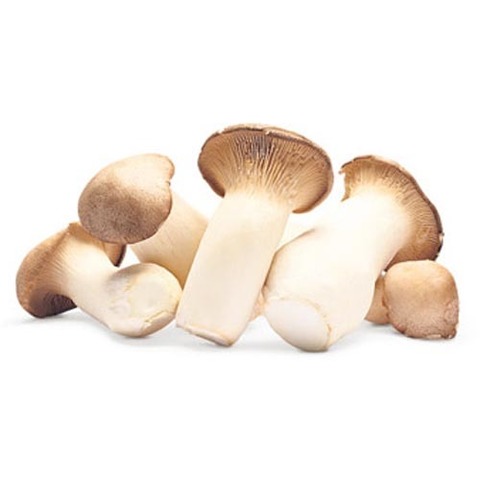 https://static-eu.insales.ru/images/products/1/503/100581879/oyster_mushrooms.jpg