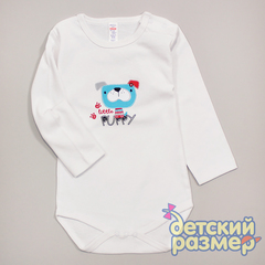 Боди (рибана)