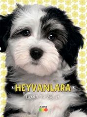 Heyvanlara toxun ve hiss et