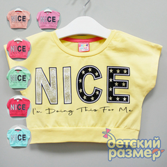 Топ (блестки)
