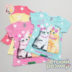 Футболка (стразы)