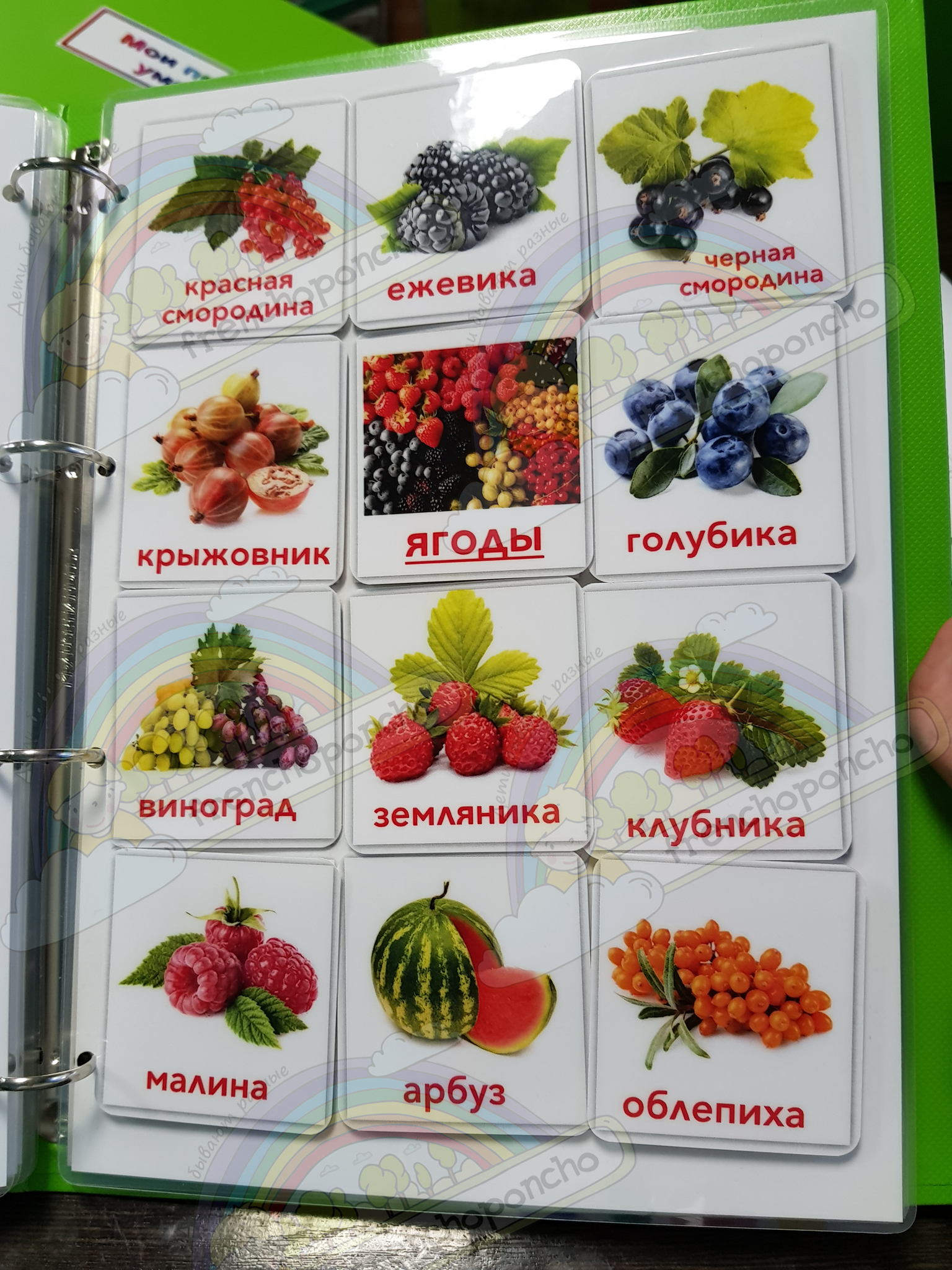 Ягоды. 12 карточек. Развивающие пособия на липучках Frenchoponcho (Френчопончо)