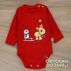 Боди