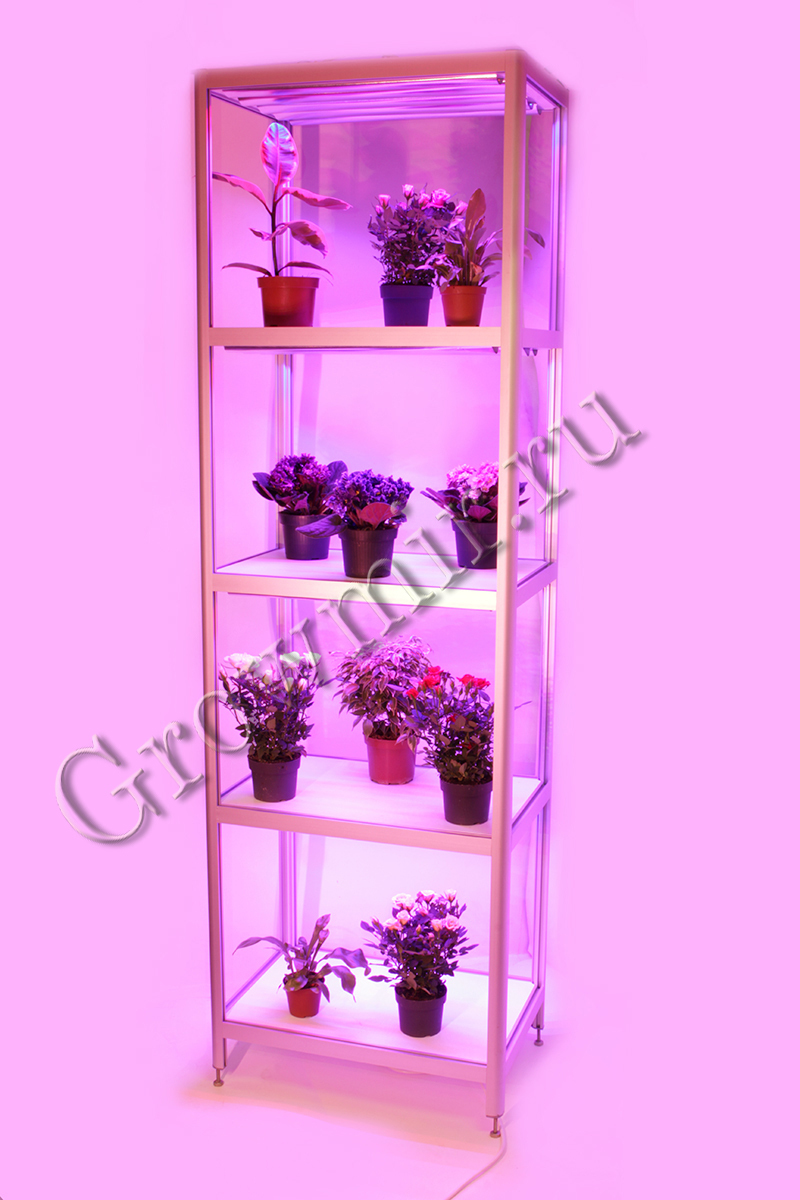 Стеллаж для растений 40x60x190 c LED лампами по 30 W - Гроушоп GrowMir