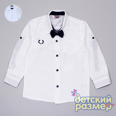Рубашка (бабочка)