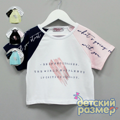 Топ (металлик)