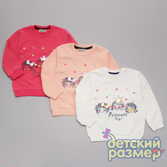 Свитшот