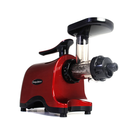Соковыжималка Omega Twin Gear Juicer TWN32R