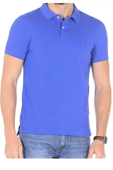 Футболка поло мужская Tommy Hilfiger, арт. TR-260317-2