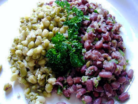 https://static-eu.insales.ru/images/products/1/7747/28196419/azuki_and_mung_beans.jpg