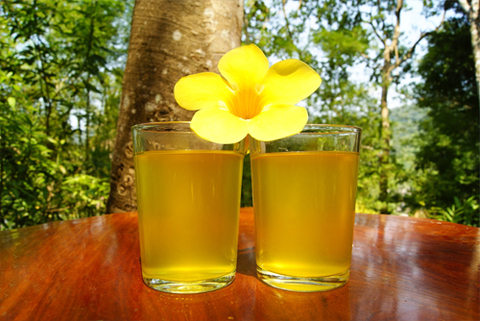 https://static-eu.insales.ru/images/products/1/7779/12746339/Ginger_drink_1.jpg