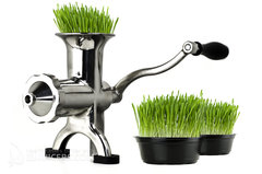 Соковыжималка ручная Wheatgrass Juicer BL-30