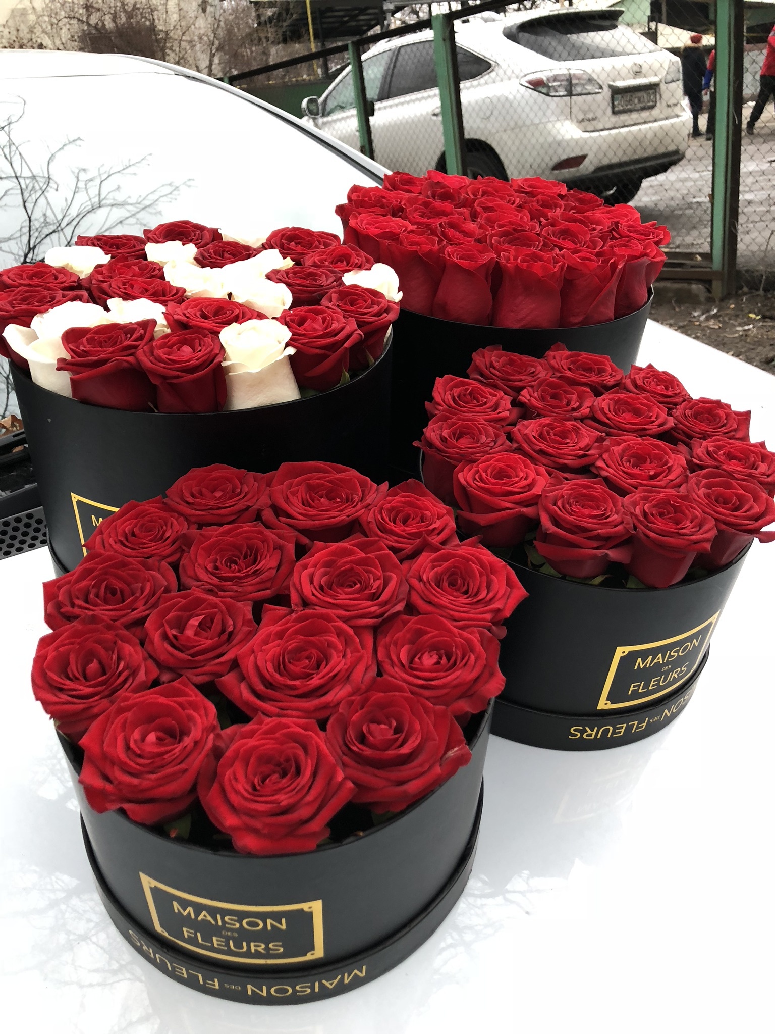 Купить розы в смоленске. Цветы в коробочке. Розы в коробке. Красные розы в коробке. Коробка для цветов.