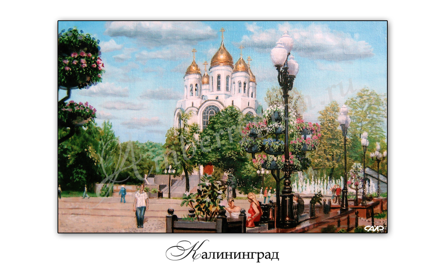 Доставка открыток калининград, тихами днем